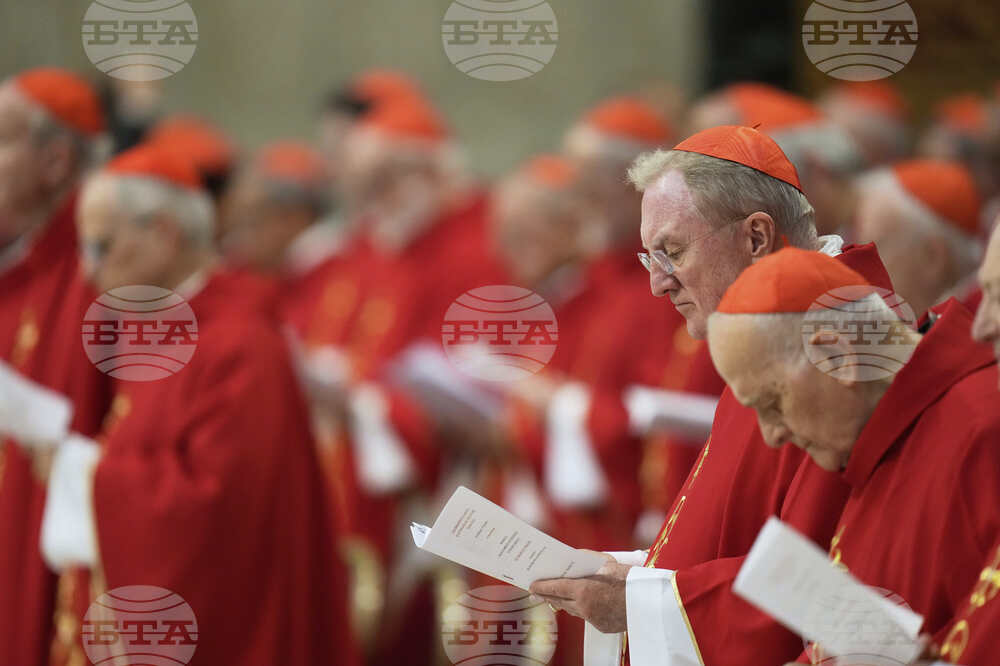Vatican Pope
