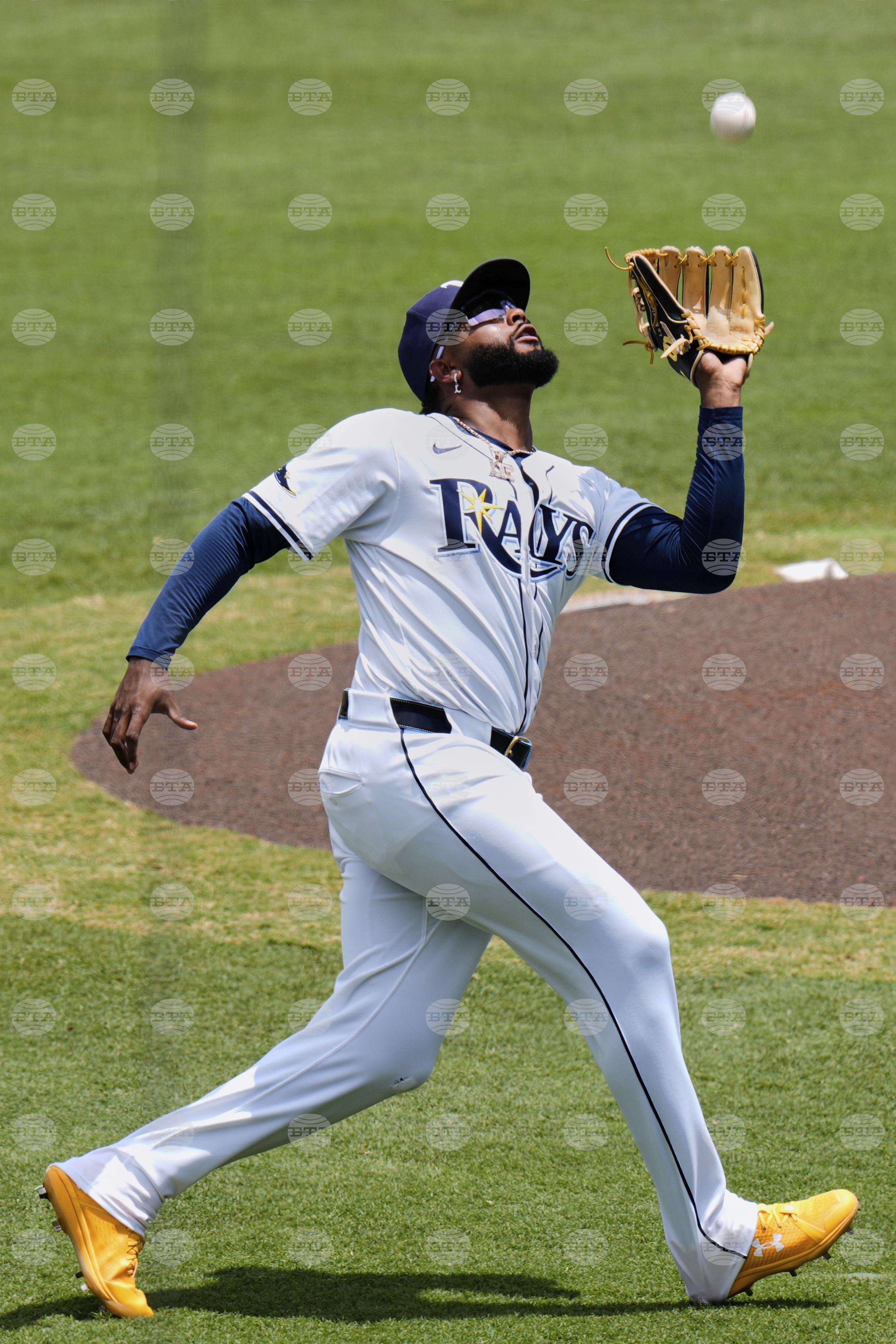 Royals Rays Baseball