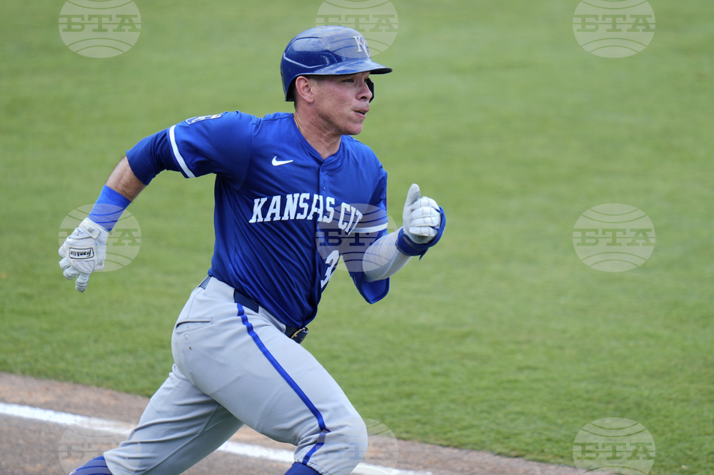 Royals Rays Baseball