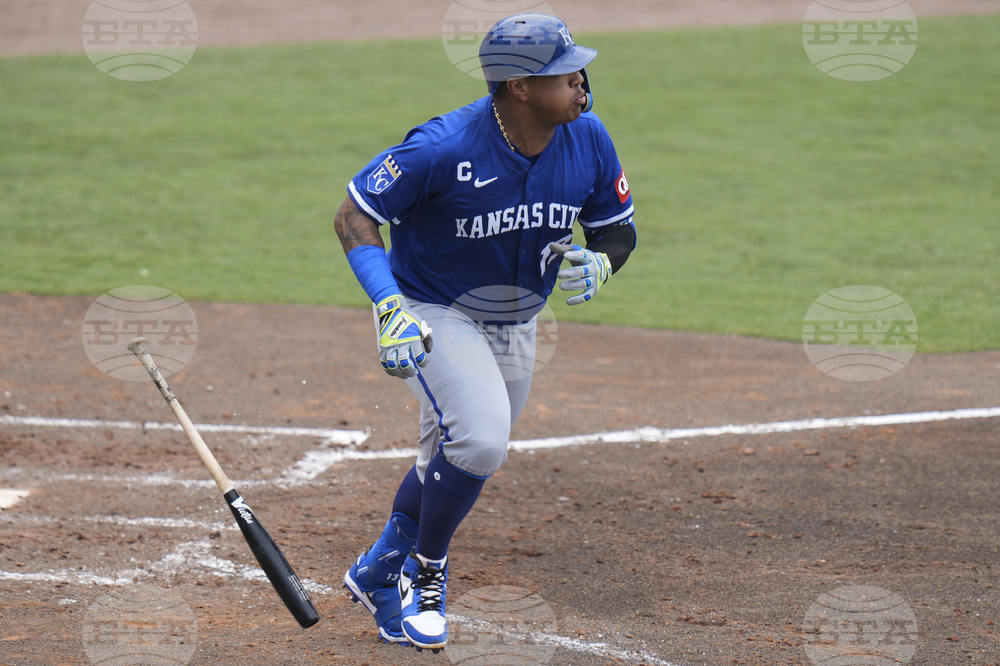 Royals Rays Baseball