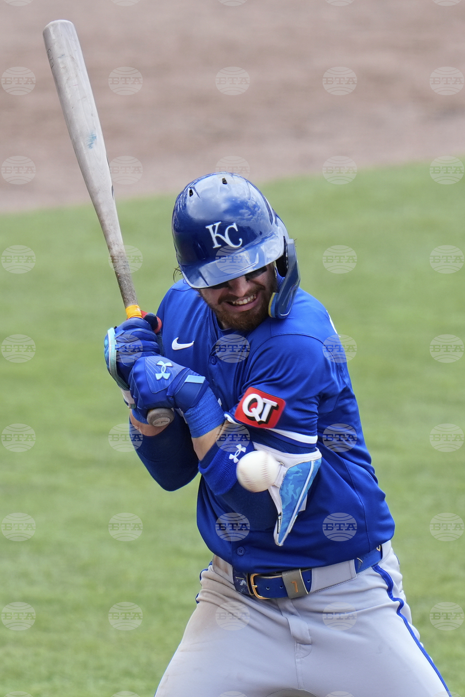 Royals Rays Baseball