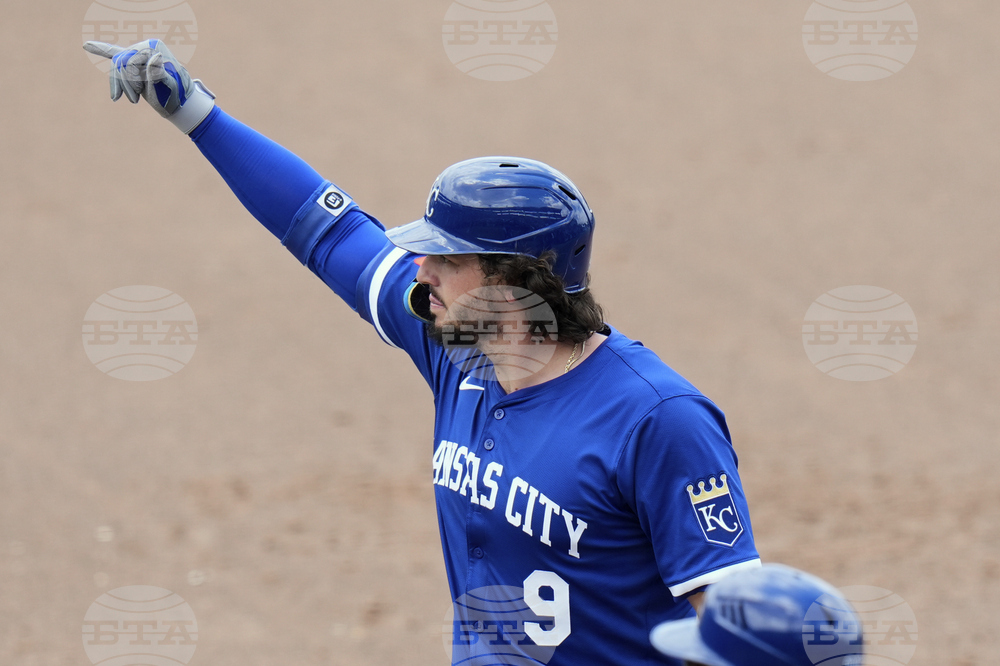 Royals Rays Baseball