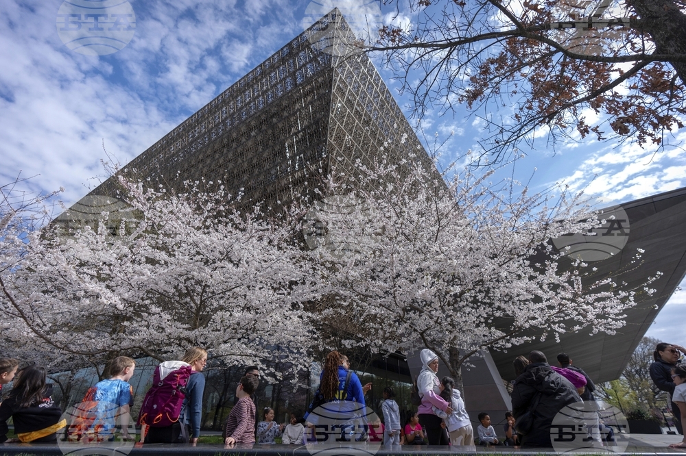 Smithsonian Black Museum Artifacts