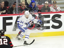 Maple Leafs Senators Hockey