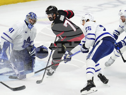 Maple Leafs Senators Hockey