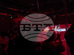 Maple Leafs Senators Hockey