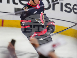 Maple Leafs Senators Hockey