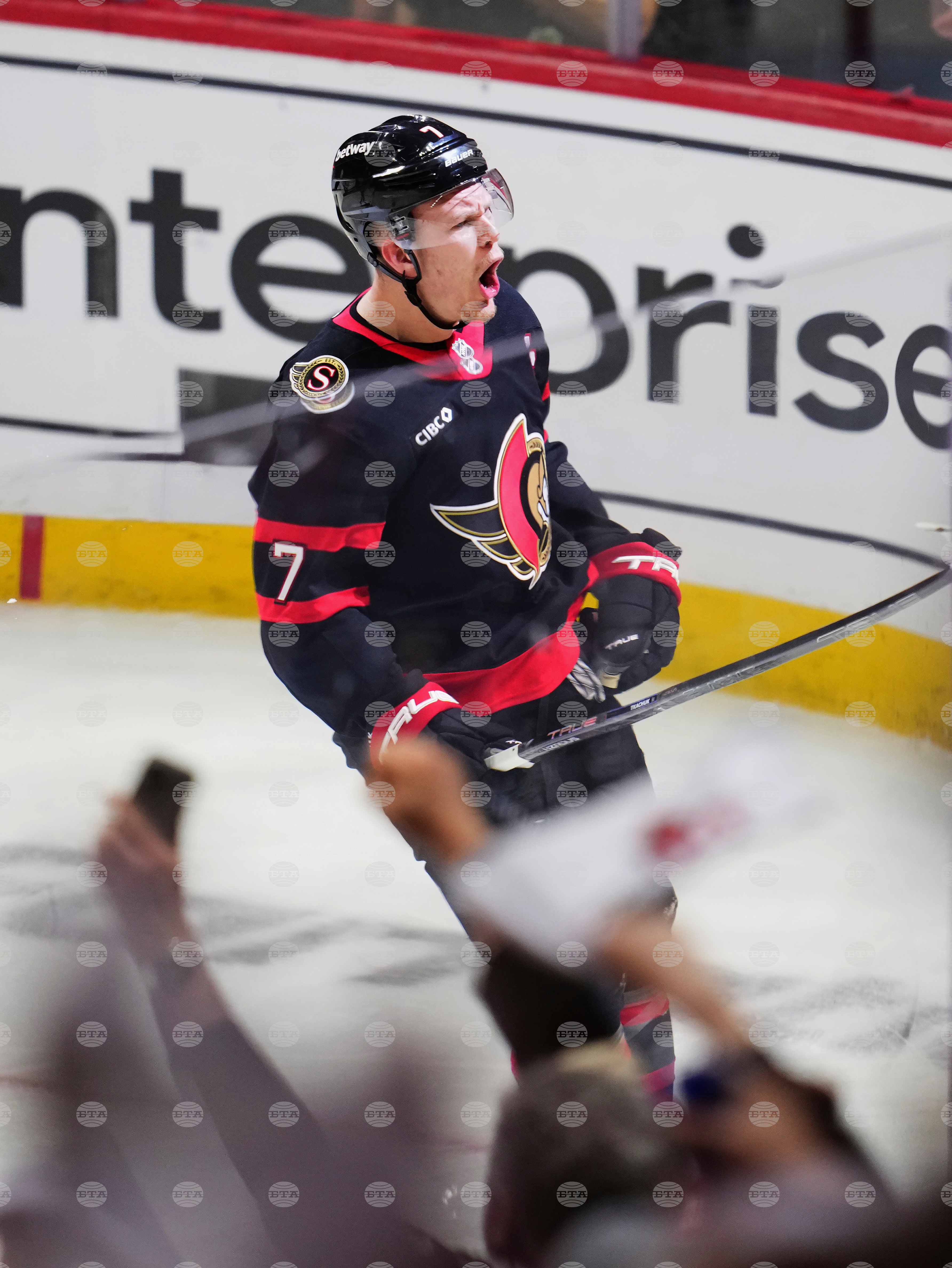 Maple Leafs Senators Hockey