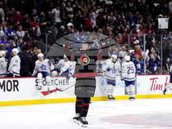 Maple Leafs Senators Hockey