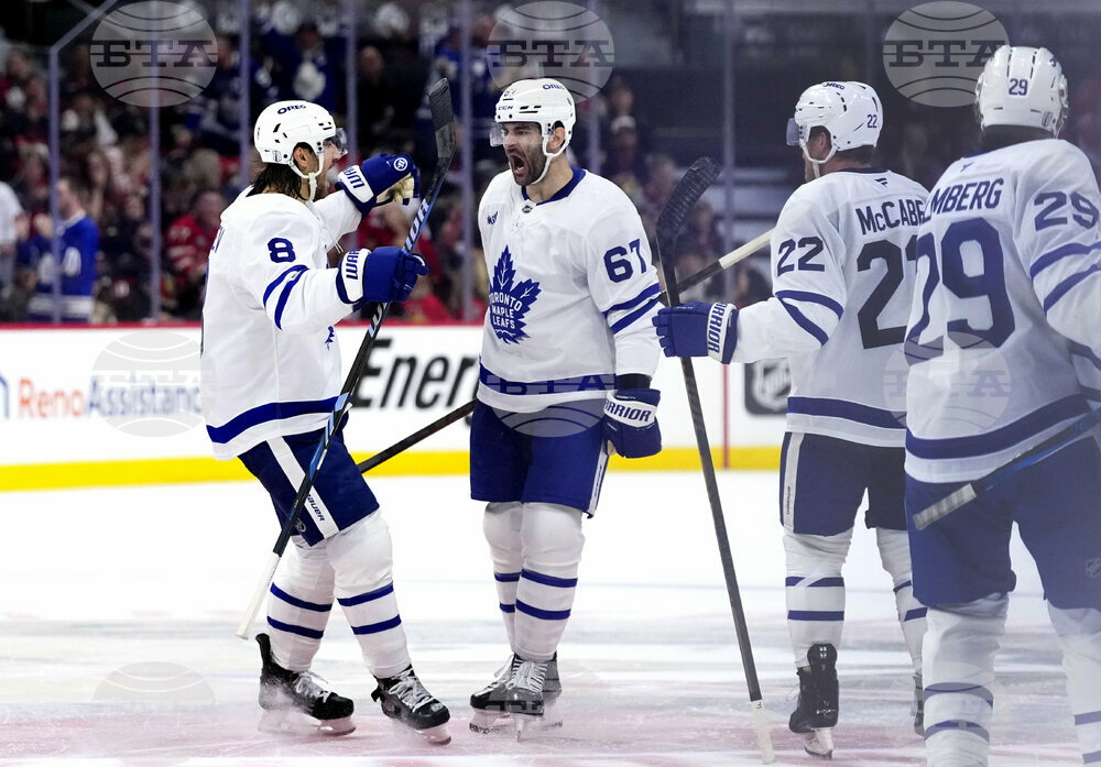 Maple Leafs Senators Hockey