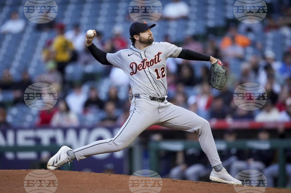 Tigers Angels Baseball