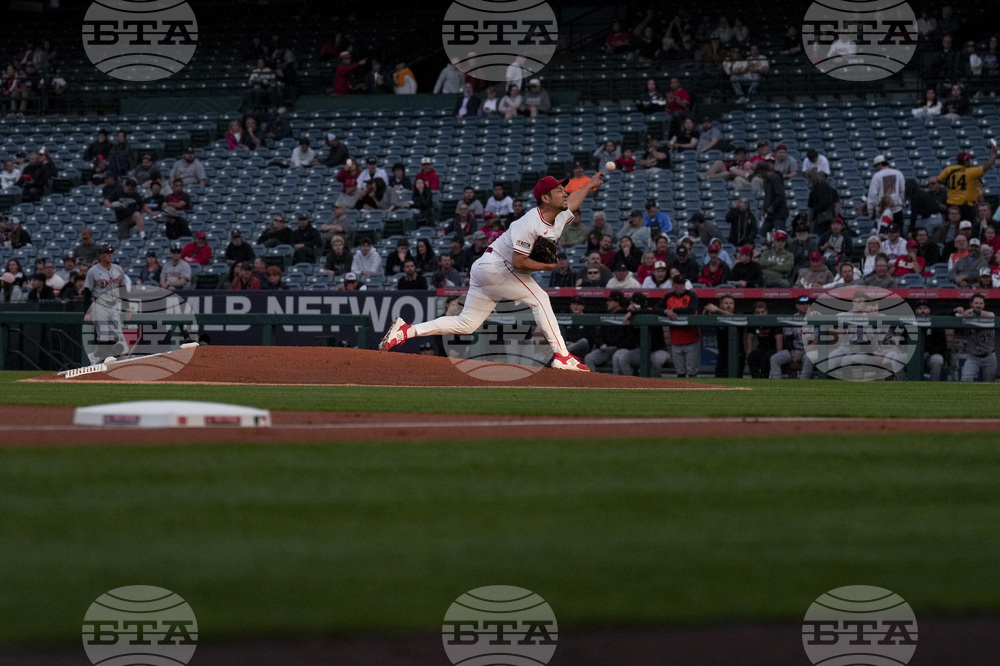 Tigers Angels Baseball
