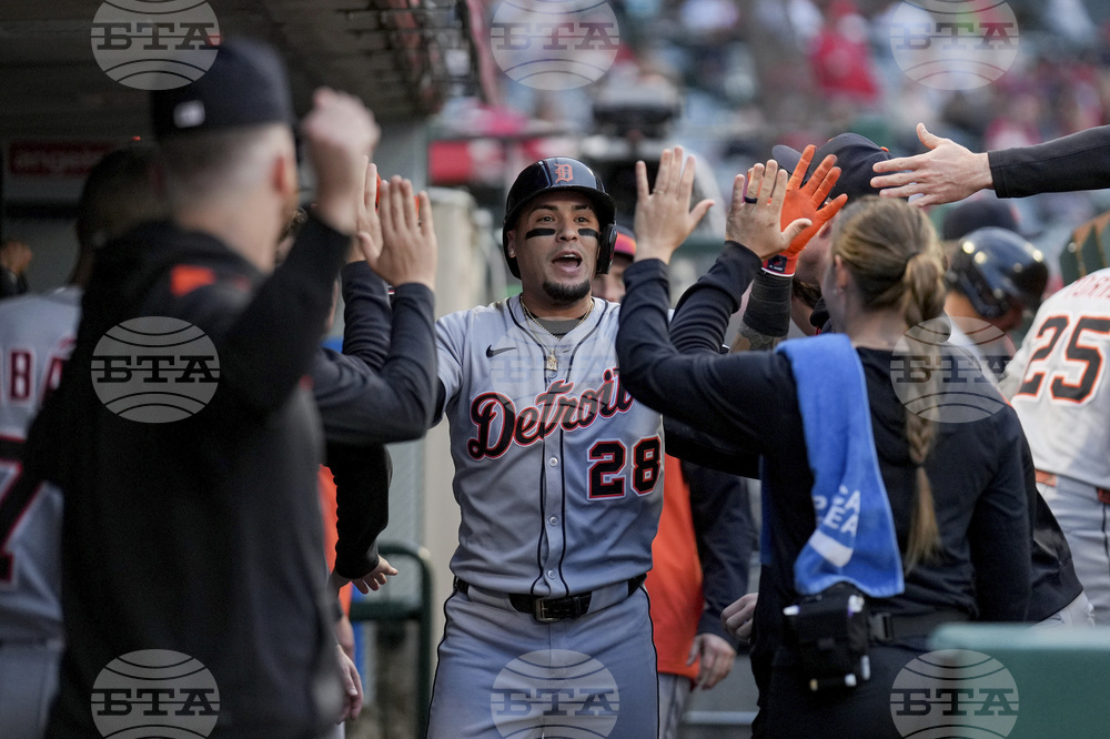 Tigers Angels Baseball