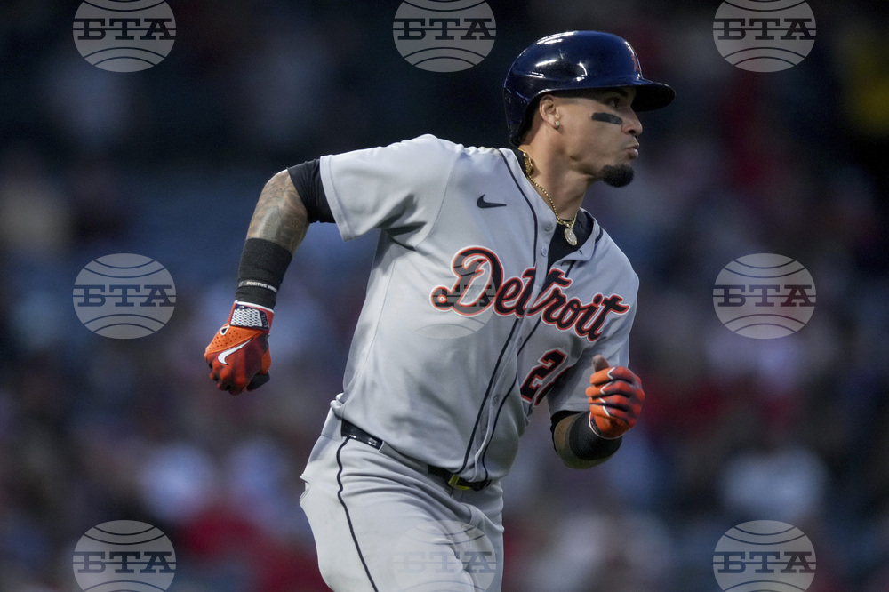 Tigers Angels Baseball