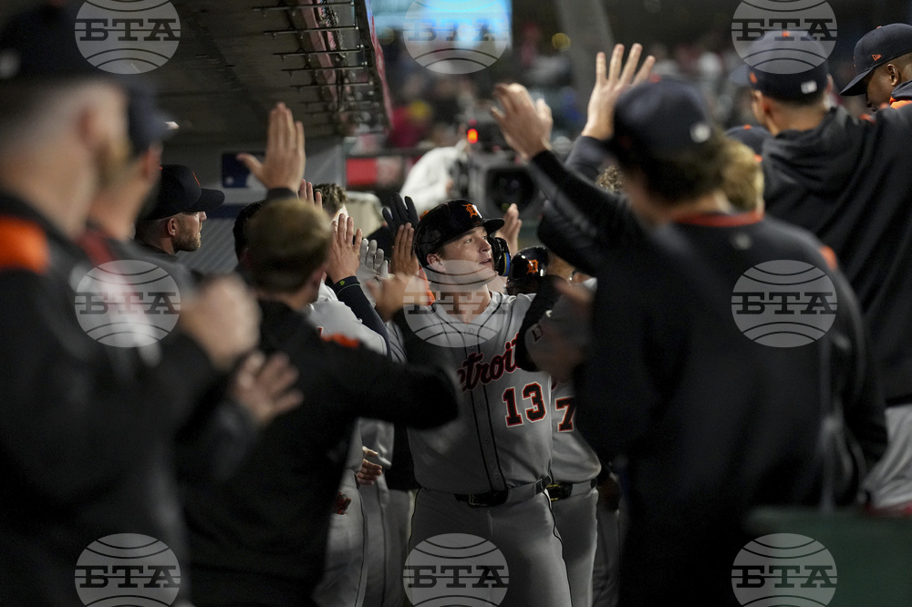 Tigers Angels Baseball