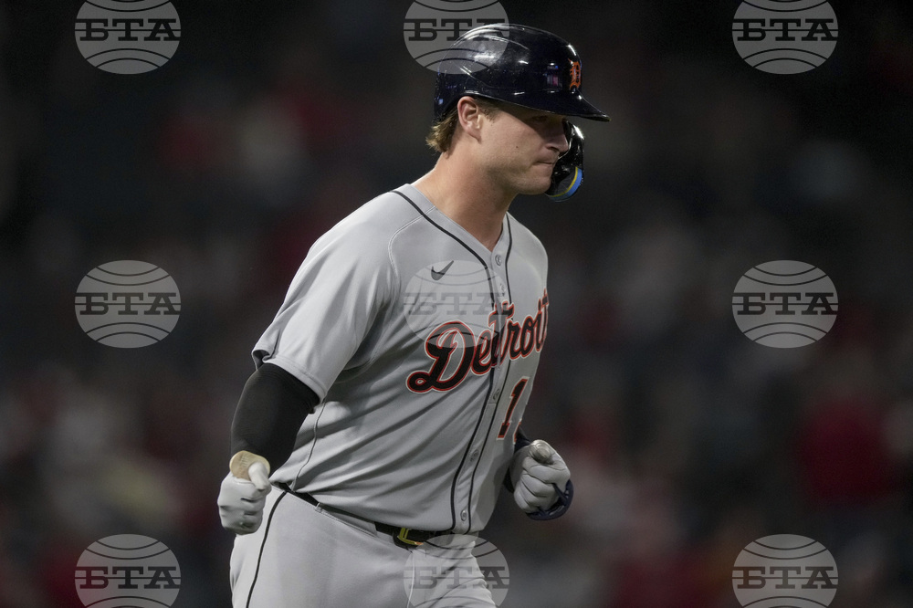 Tigers Angels Baseball