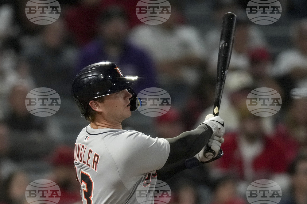 Tigers Angels Baseball
