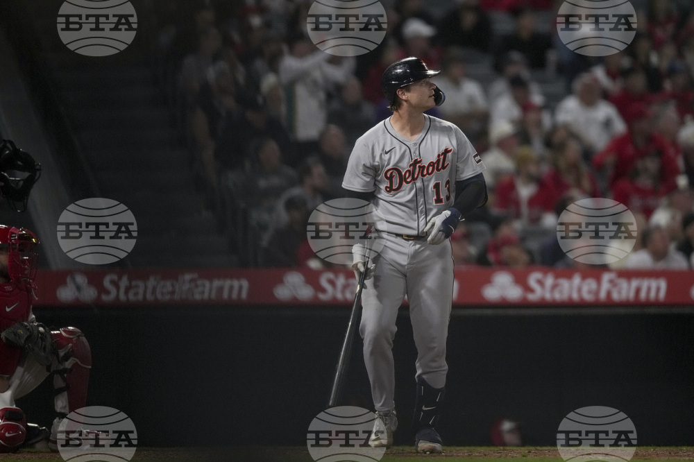 Tigers Angels Baseball