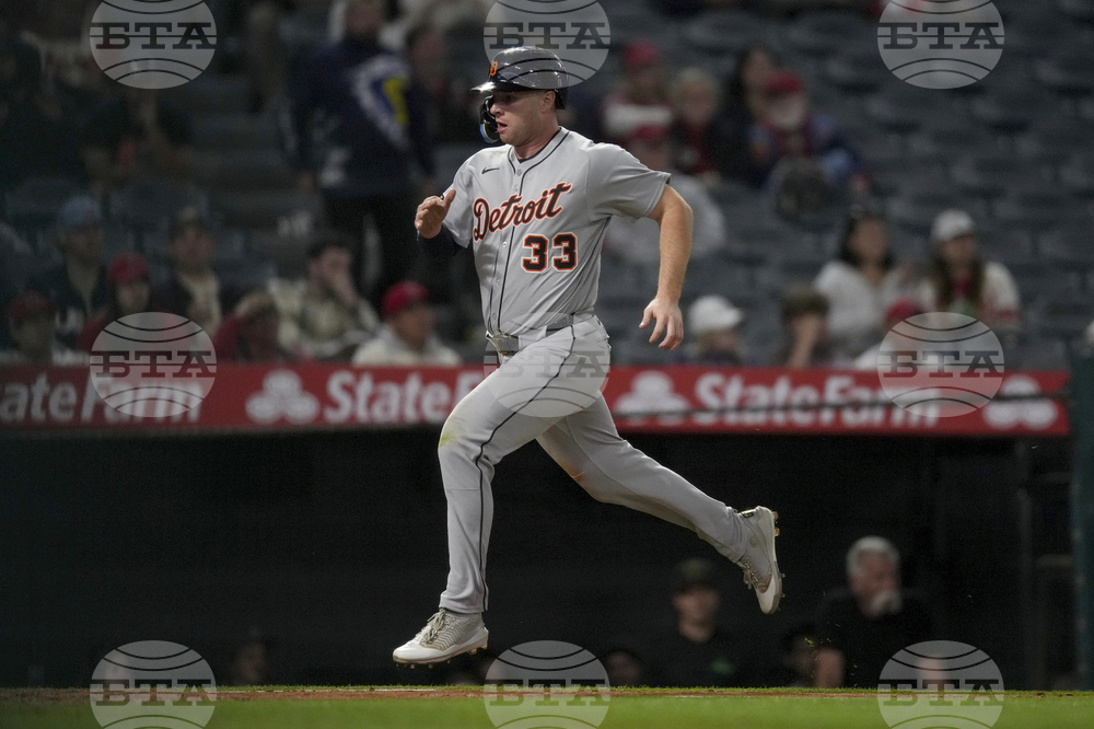 Tigers Angels Baseball