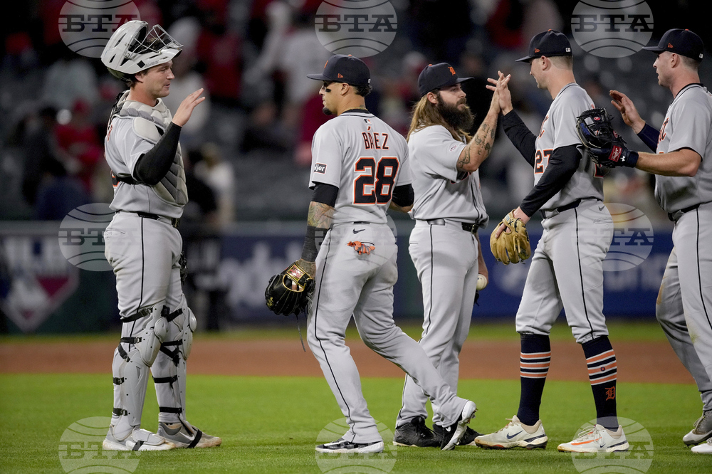 Tigers Angels Baseball