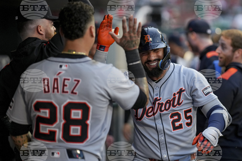 Tigers Angels Baseball