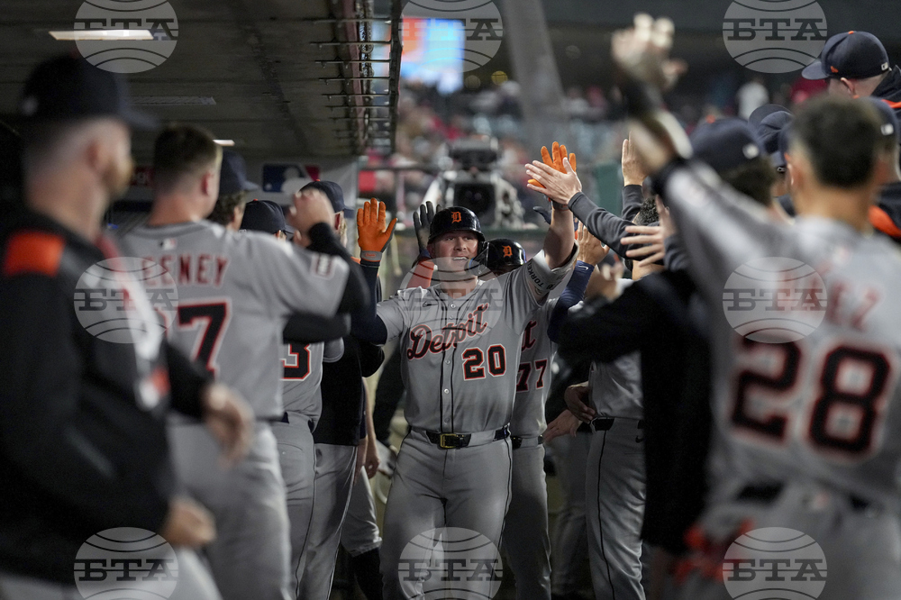 Tigers Angels Baseball