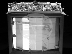 Изложбата „Експонати“. Снимка: Екипът на събитието