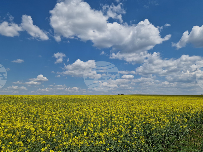 Прогноза за времето