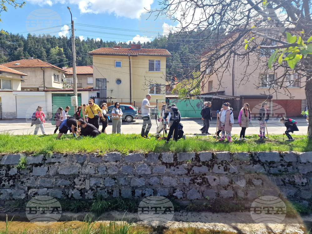 Самоков - ученици - залесяване на фиданки
