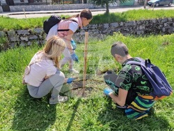 Самоков - ученици - залесяване на фиданки