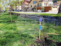 Самоков - ученици - залесяване на фиданки