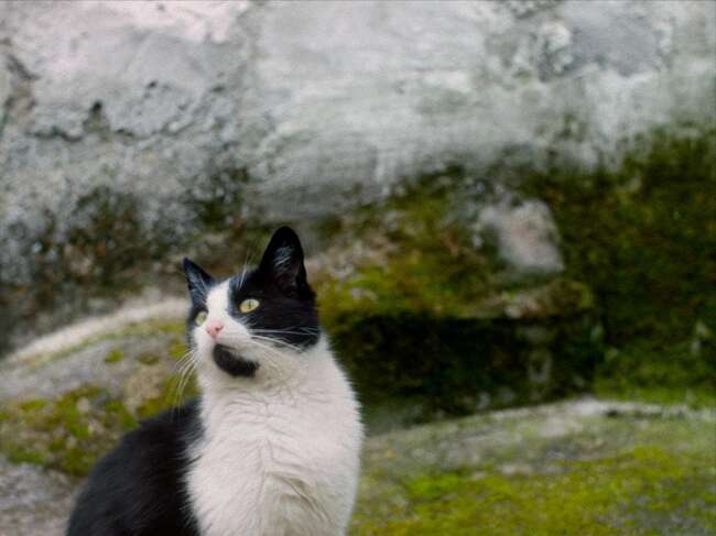Българският филм „Тихи наблюдатели“ ще бъде представен на 4 май във Ванкувър