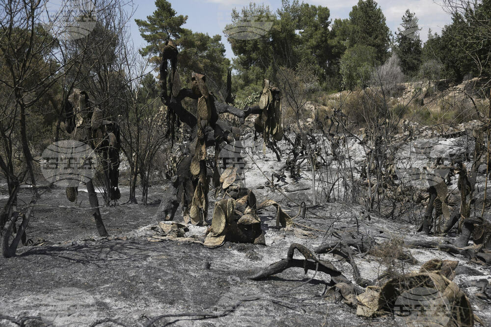 Israel Wildfires