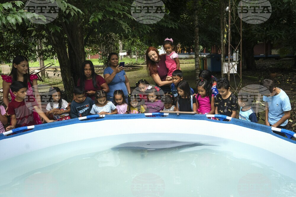 Climate Brazil Amazon Manatee