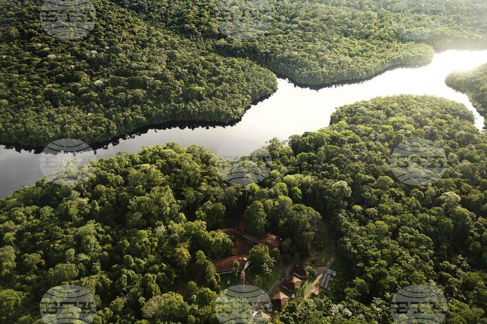Climate Brazil Amazon Manatee