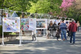 Бургас - „Шофирай със сърце и разум" - изложба