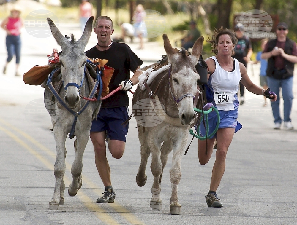 Burro Racing