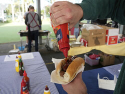 Australia Election Sausage