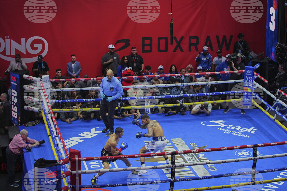 Lopez Barboza Boxing