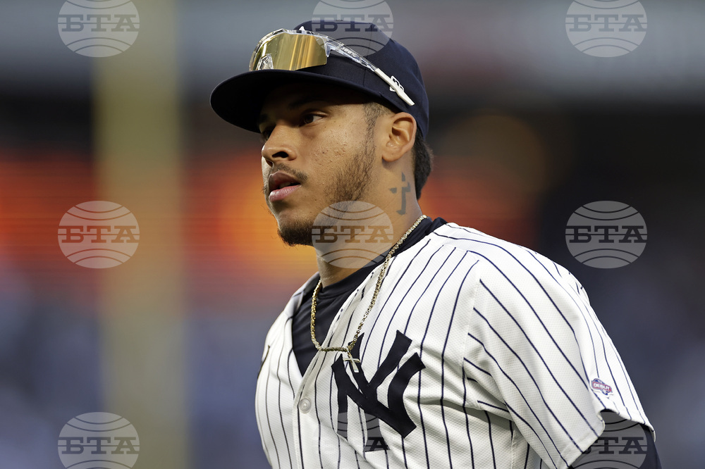 Rays Yankees Baseball