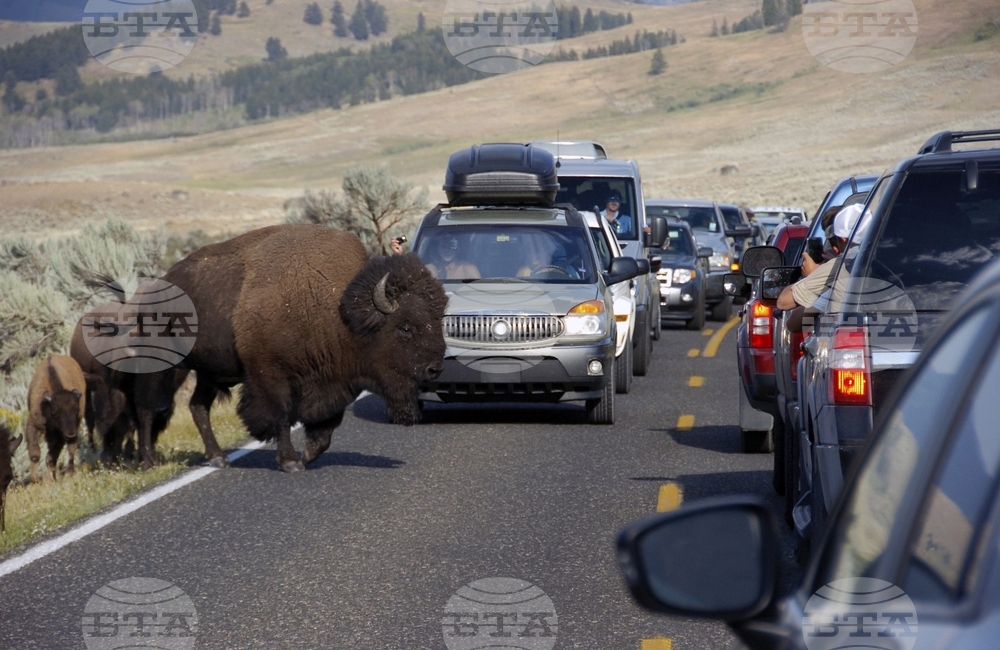 Yellowstone Crash Foreign Tourists