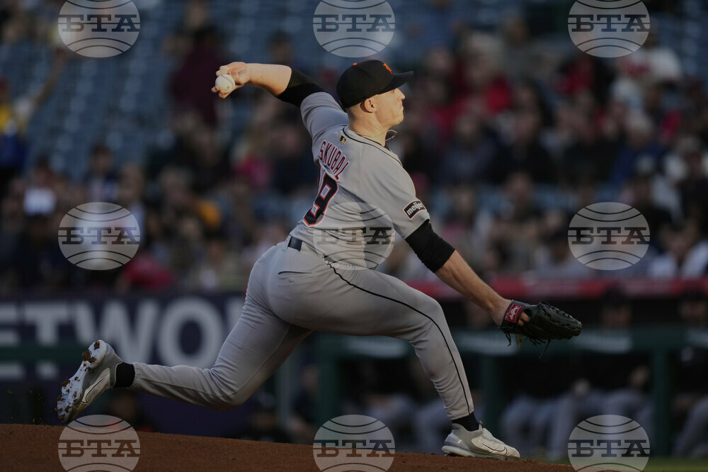Tigers Angels Baseball