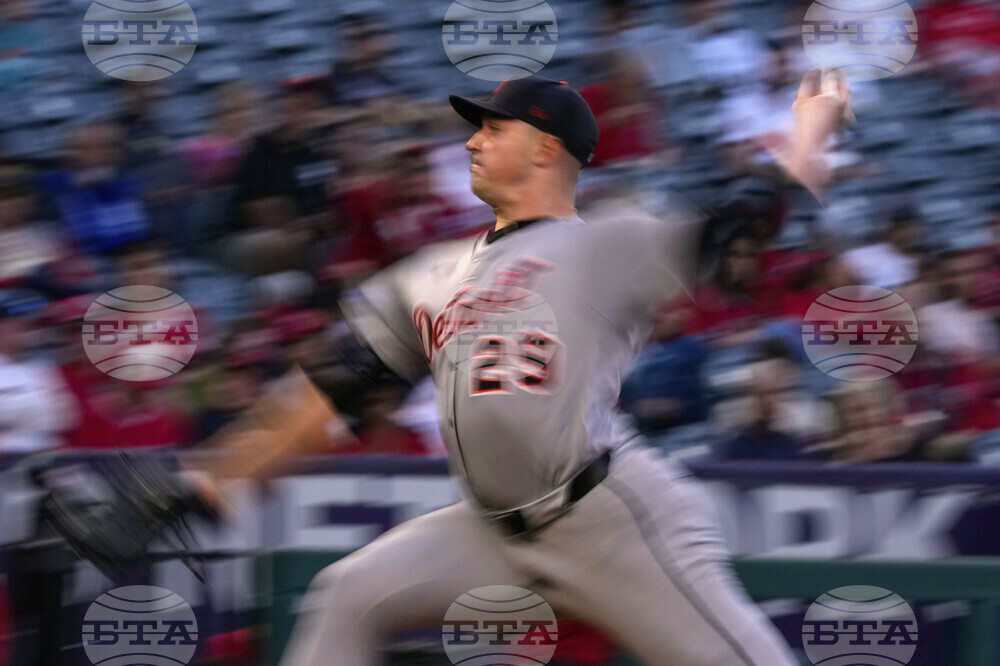 Tigers Angels Baseball