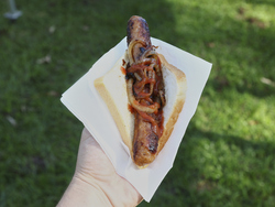 Australia Election Sausage