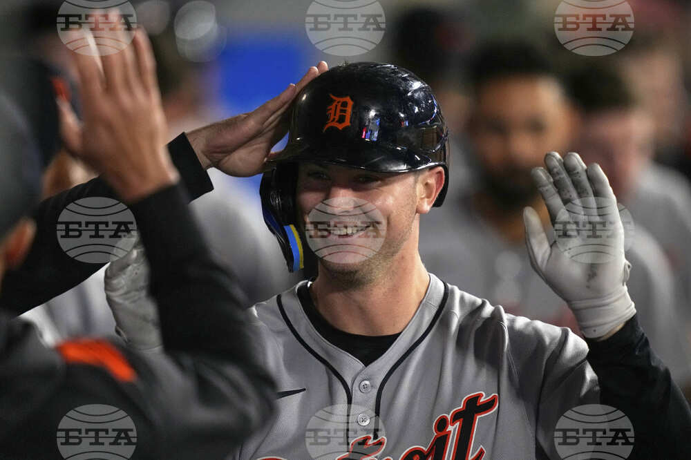 Tigers Angels Baseball