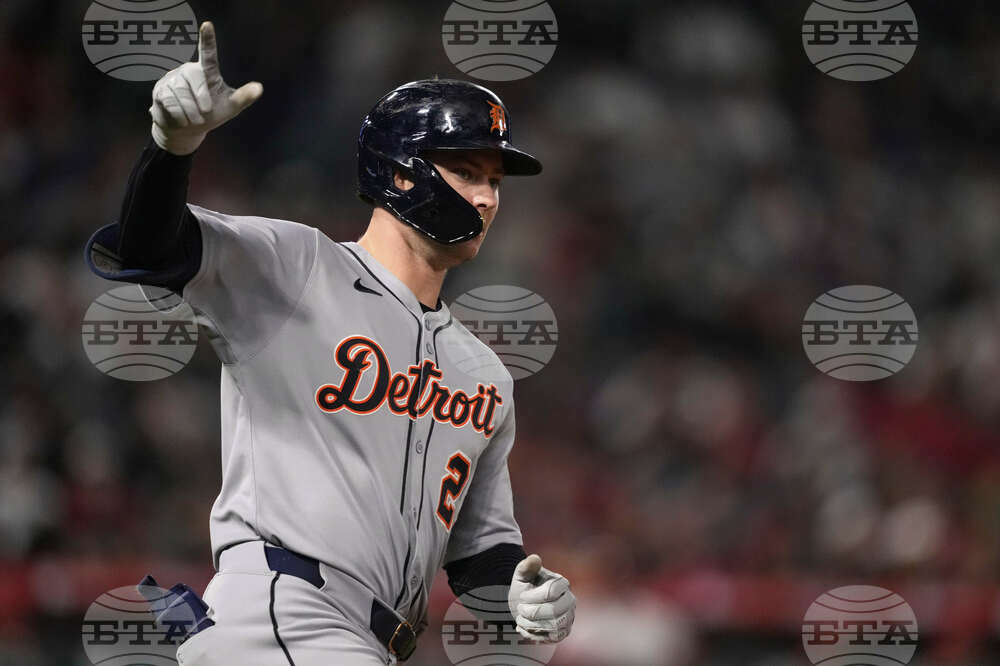 Tigers Angels Baseball