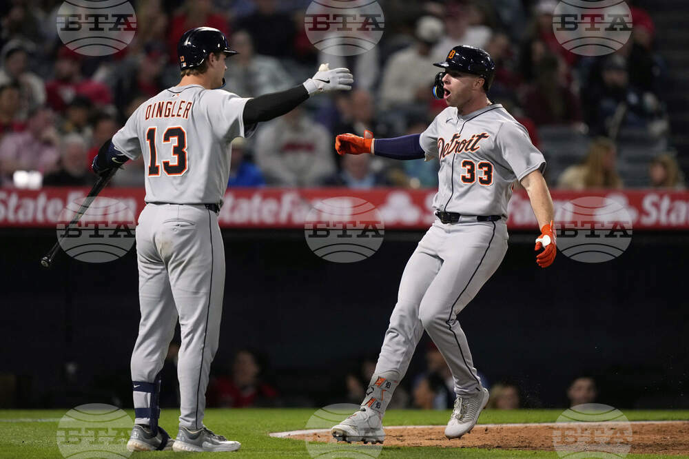 Tigers Angels Baseball