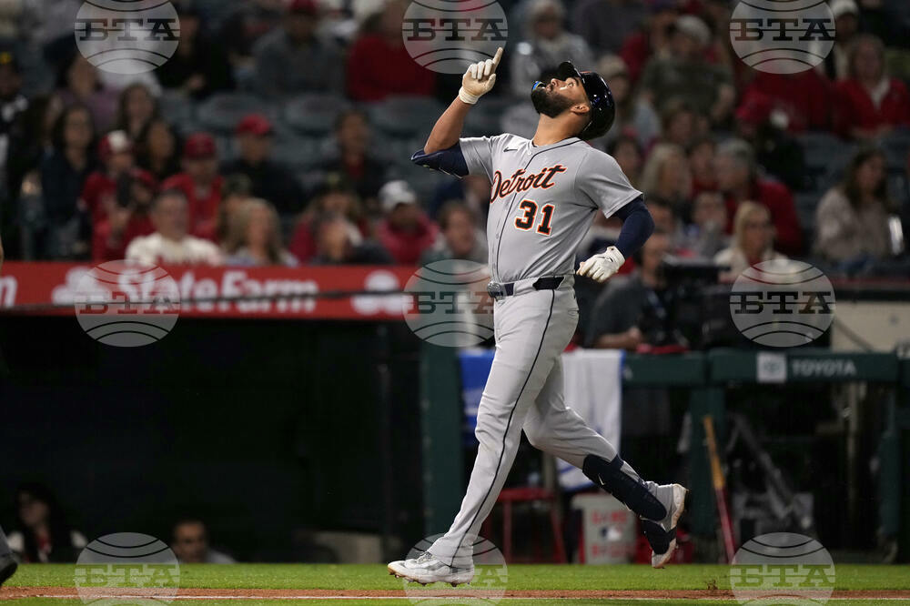 Tigers Angels Baseball
