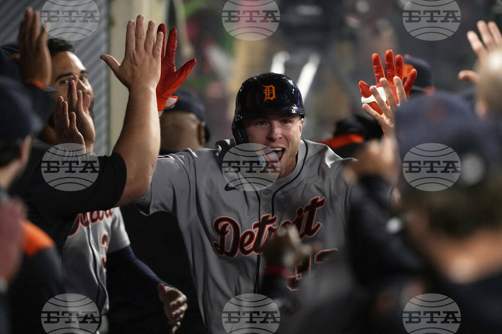Tigers Angels Baseball