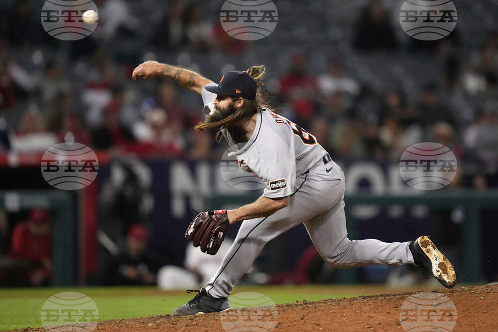 Tigers Angels Baseball